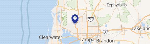 Tampa, FL 33625