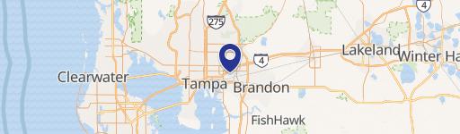 Tampa, FL 33619