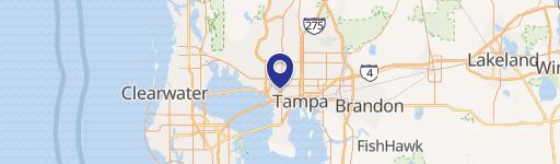 Tampa, FL 33607