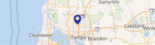 Tampa, FL 33612