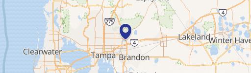 Tampa, FL 33610