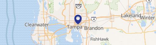 Tampa, FL 33605