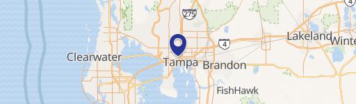 Tampa, FL 33607
