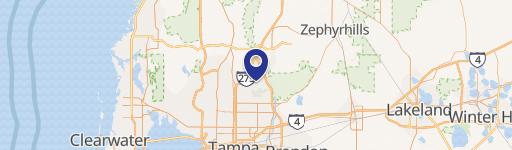 16102 Bruce B Downs Blvd