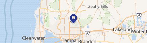 14542 Bruce B Downs Blvd