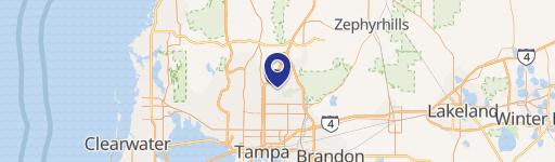 14517 Bruce B Downs Blvd