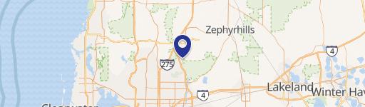 17601 Bruce B Downs Blvd