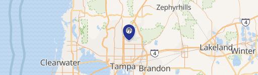 12220 Bruce B Downs Blvd