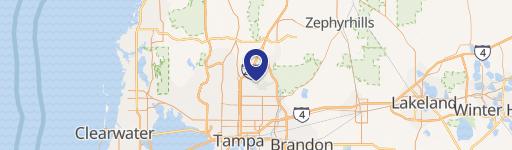 14801 Bruce B Downs Blvd