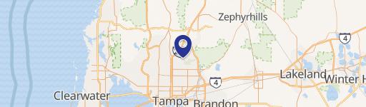 14903 Bruce B Downs Blvd