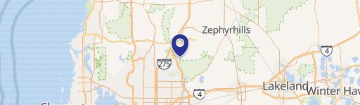 17643 Bruce B Downs Blvd