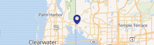 13841 Hillsborough Ave