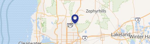 17050 Palm Pointe Dr