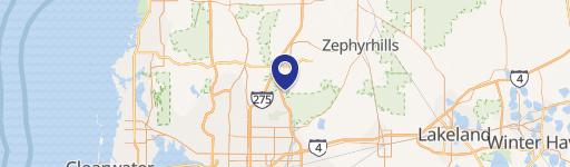 17501 Preserve Walk Ln