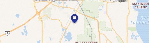 Butterfly Milkweed Ct