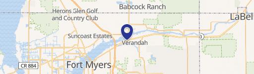 11568 Verandah Palm Ct