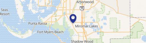 17811 Toy Vault Ln, Unit 102