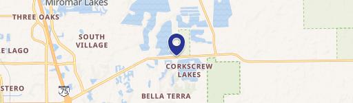 14700 Corkscrew Woods Ct