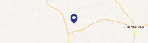 11170 Alver Miller Rd