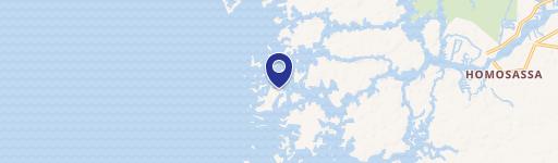 15179 The Homosassa Riv