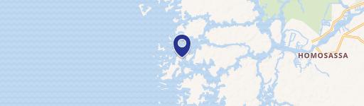 15013 The Little Homosassa