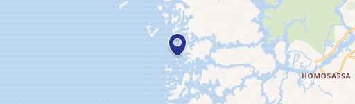 15019 The Little Homosassa