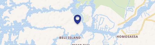 12679 The Homosassa Riv