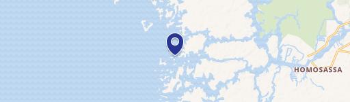 15245 The Little Homosassa