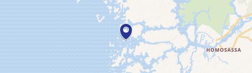 15007 The Little Homosassa