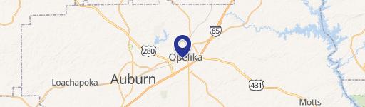 Cleared Lot in Opelika, AL