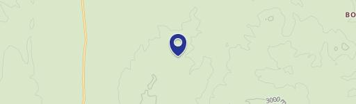 Land with Mature Trees