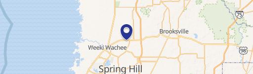 7045 Evergreen Woods Trl