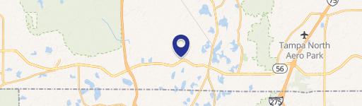 19508 Shumard Oak Dr