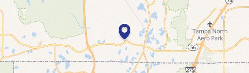 19445 Shumard Oak Dr