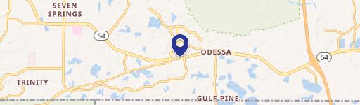 12450 State Rd 54th St