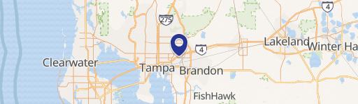 Residential Land in Tampa, Florida