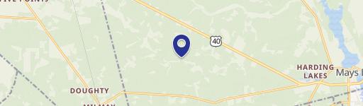 Wooded Land for Hunting/Recreation