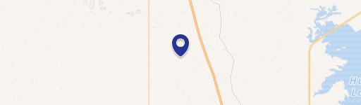 40 Acres of Wooded Land