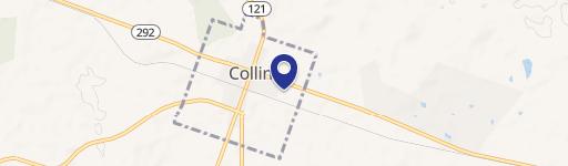 Collins, GA 30421