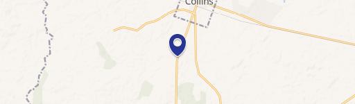 Collins, GA 30421