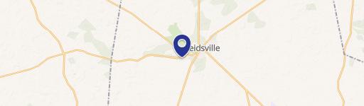 Reidsville, GA 30453