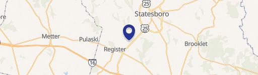 8373 Zell Miller Pkwy