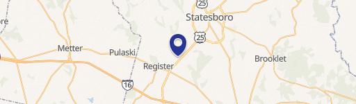 8803 Zell Miller Pkwy