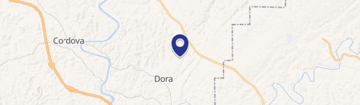 28 Acres in Dora, Alabama