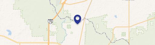 Wooded Lot in Ridge Manor