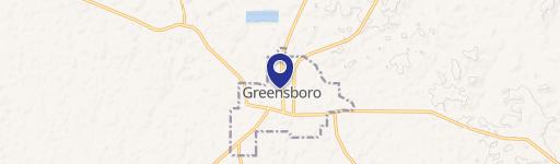 Greensboro, AL 36744