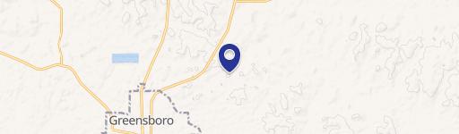 Greensboro, AL 36744