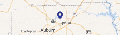 Exclusive Wooded Lots in Opelika