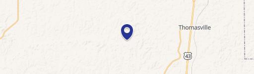 Thomasville, AL 36784