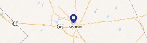 Eastman, GA 31023